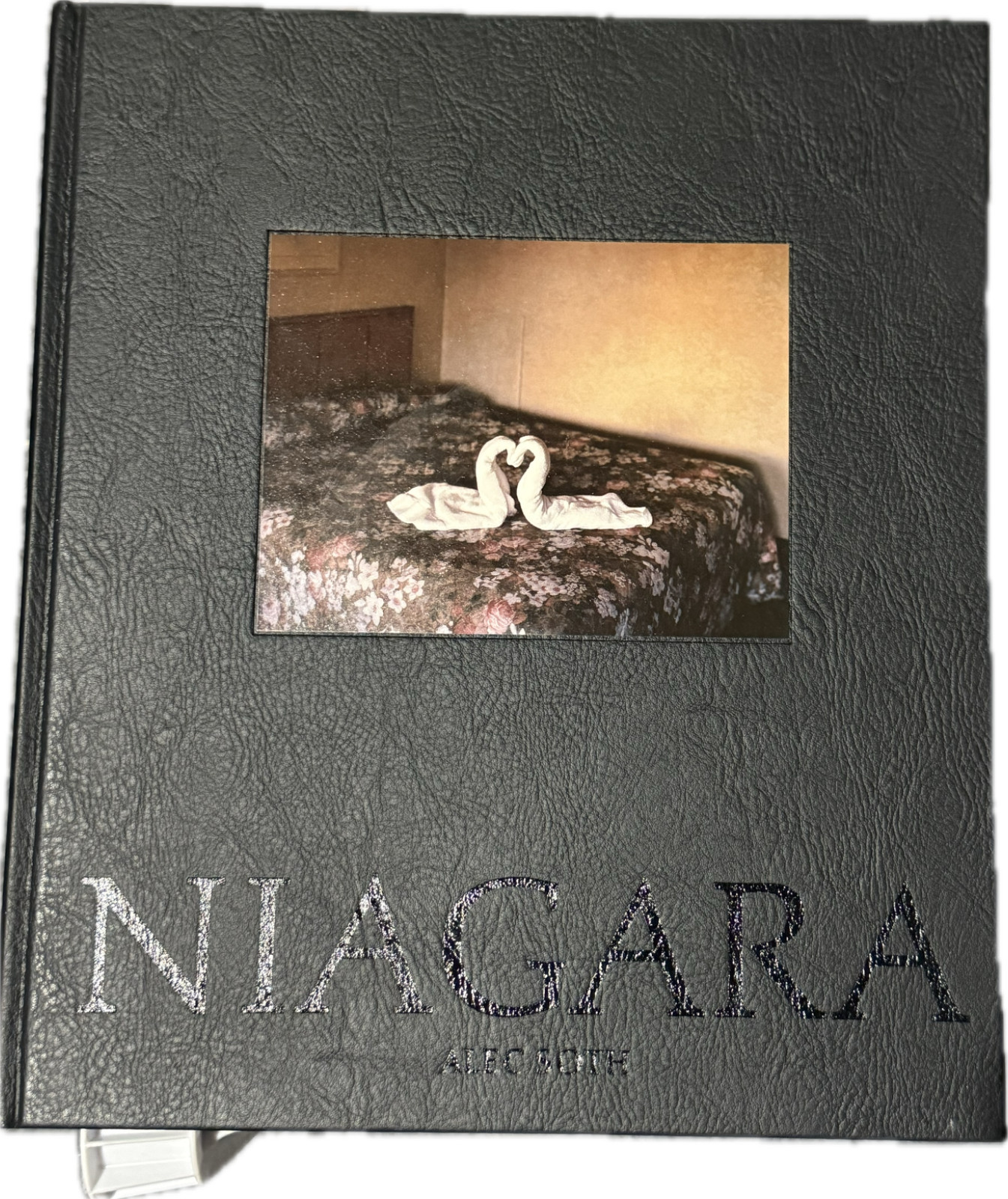 Niagara by Alec Soth (2006, Hardcover)