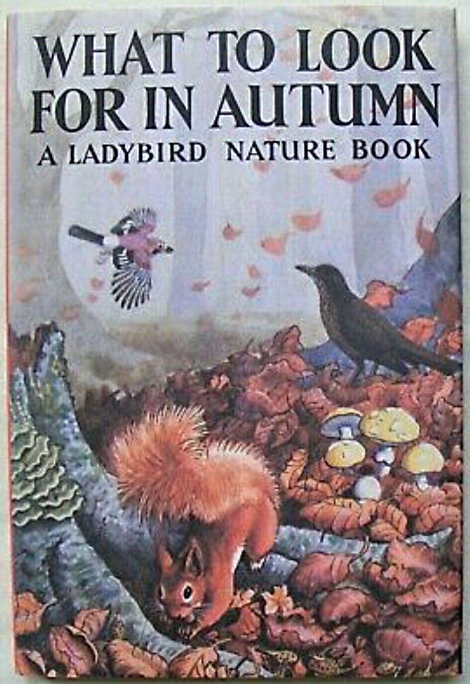 Ladybird Book – What to look for in Autumn DJ – 536 – 2015 Edition Mint A1 Copy