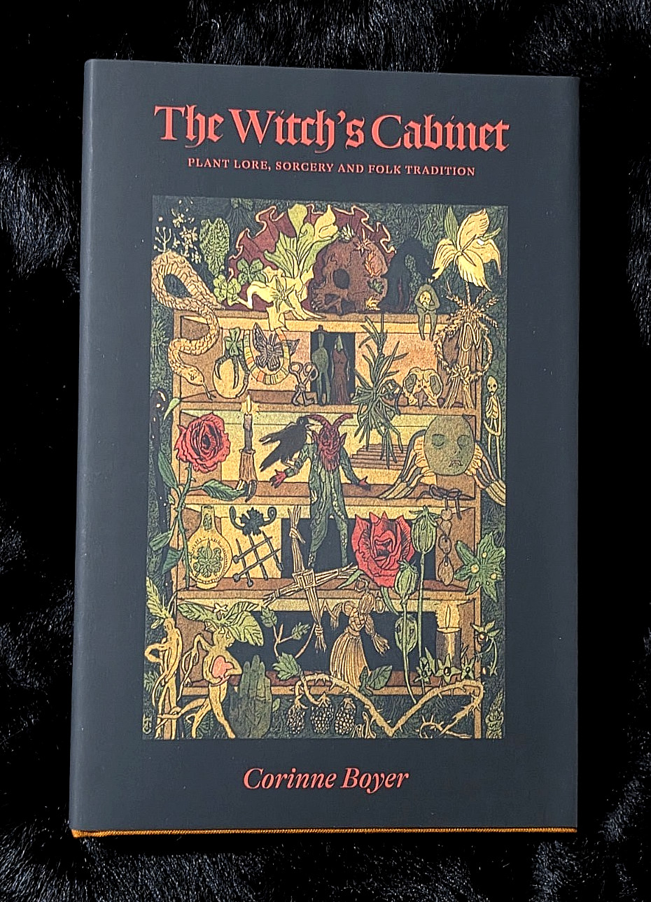 The Witch’s Cabinet ~ Corinne Boyer ~ 2021 Three Hands Press ~ 731/750