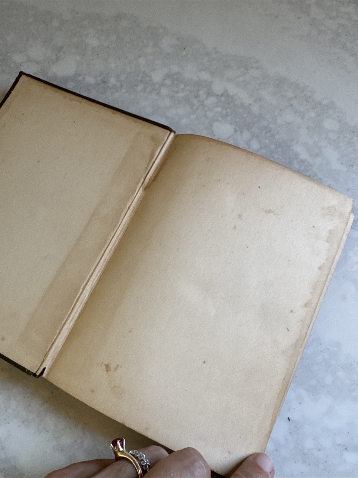 1881 Shakespeare’s King Romeo & Juliet Henry Hudson Hardcover Collectible VTG