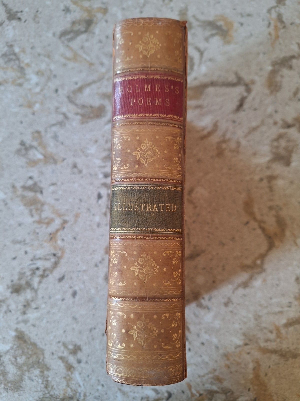 1881 Poems of Oliver Wendell Holmes Antique Book Tree Calf Leather Binding