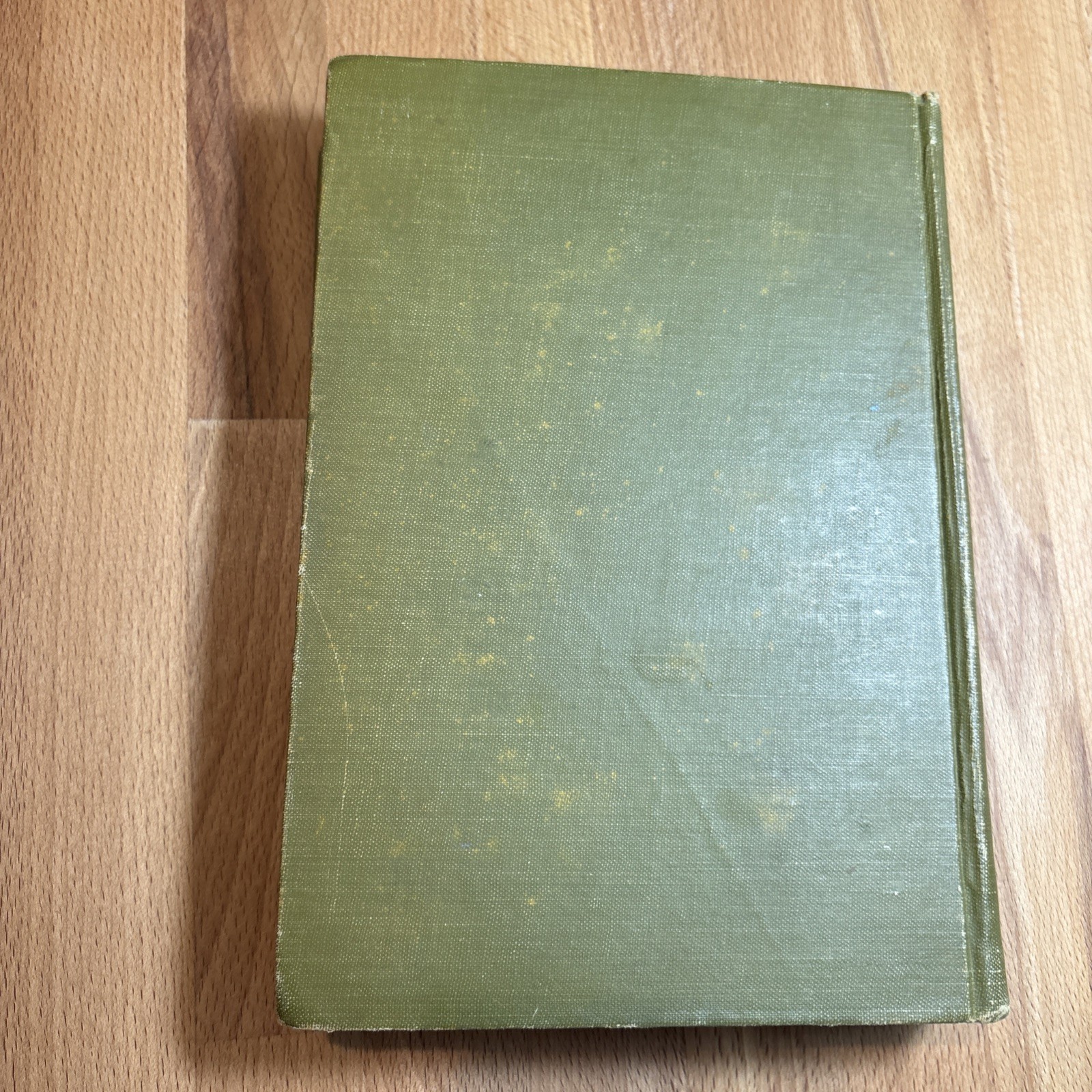 Hurlbut’s Story of the Bible 1904 John C. Winston Illustrated + color plates
