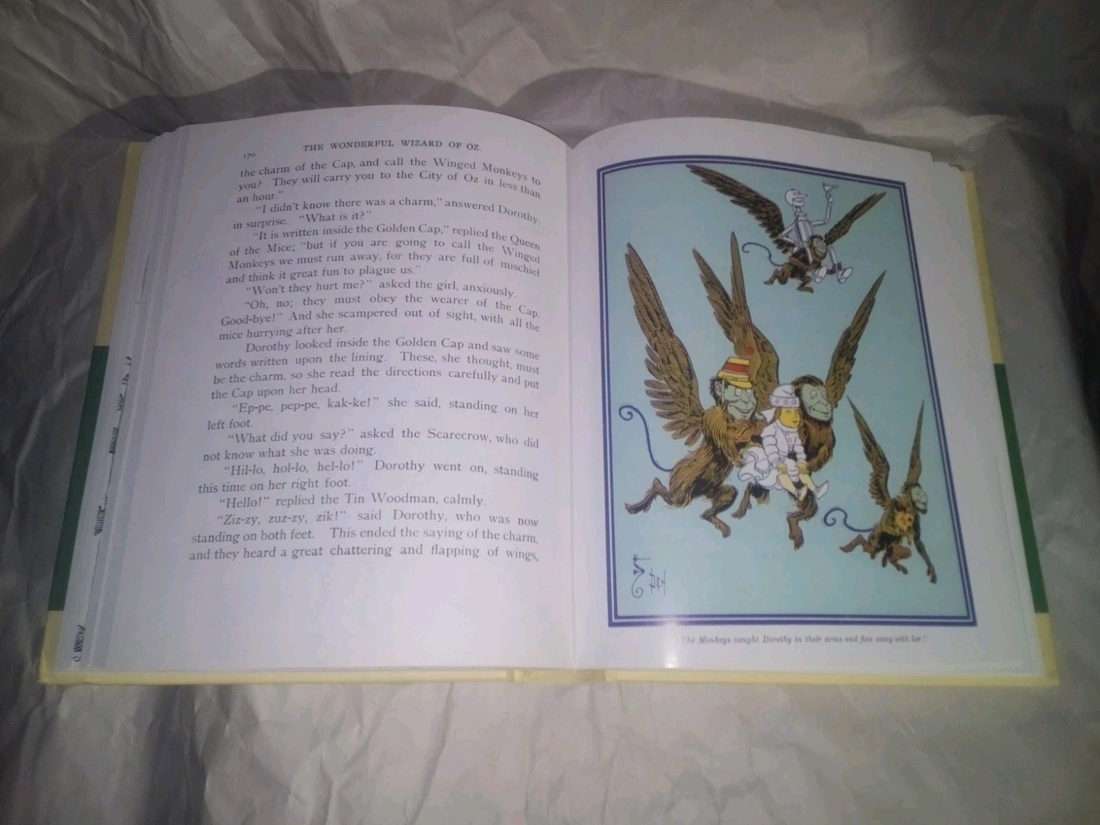 The Wonderful Wizard Of Oz L Frank Baum 1900 1st Edition W W Denslow in Color! +