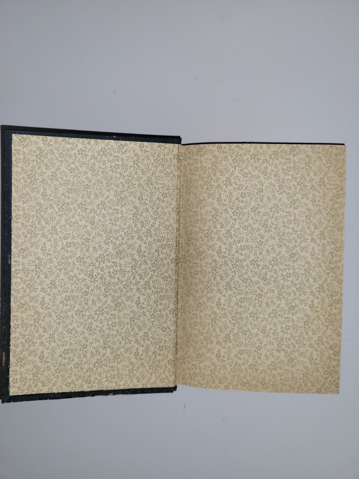 “THE DIVINE PLAN OF THE AGES” VOL I MELLENNIAL DAWN 1904 Ed By C.T Russell