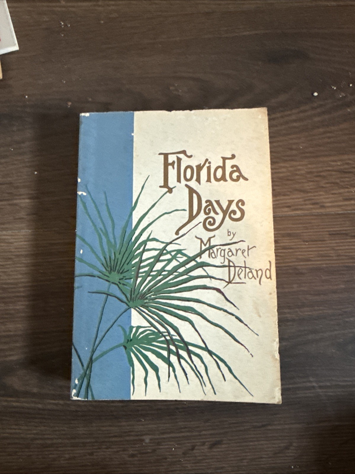 Florida Days by Margaret Deland 1889 HC