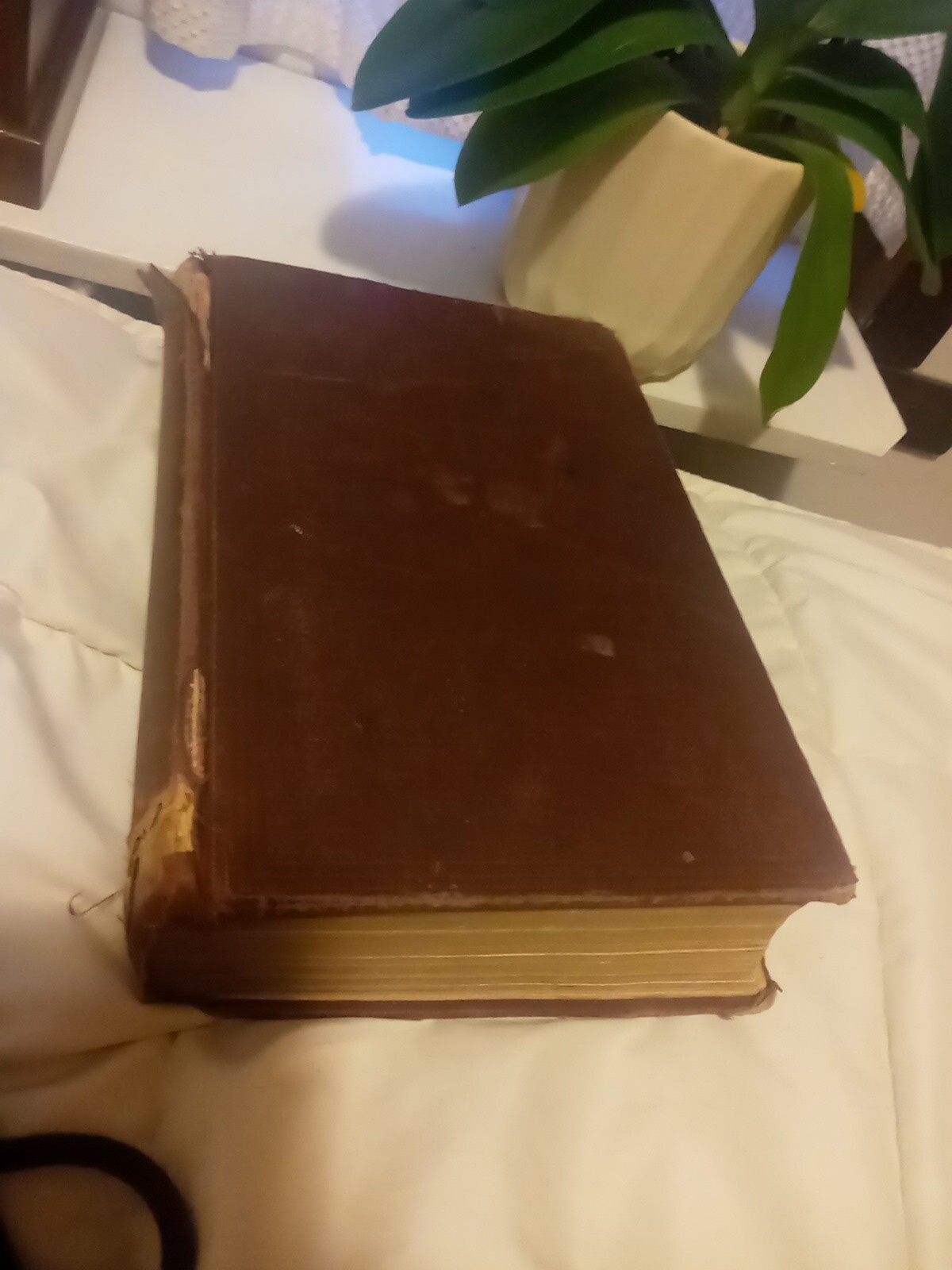 1922 (9th Edition) “The Principles & Practice Of Medicine “Antique Book