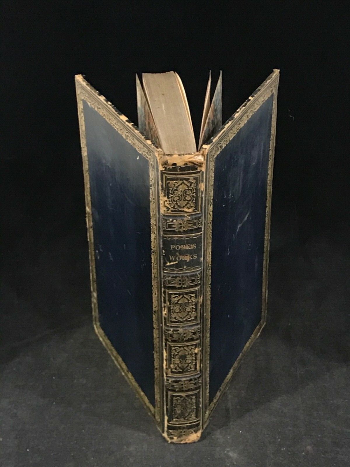 1827 Poetical Works of Alexander Pope, Esq. Dr. Johnson