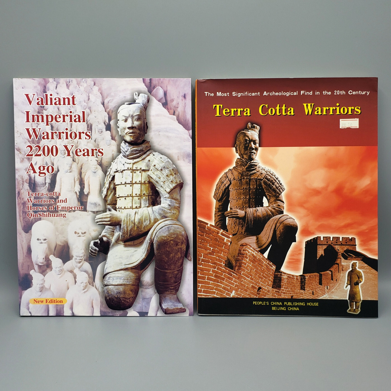 Lot of 2 Terra Cotta Warriors Books Trade PB Archeology Sculpture China History