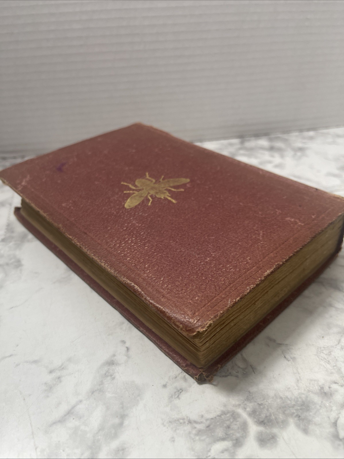 A Popular Account of Missionary Travels Researches in S. Africa Livingstone 1861