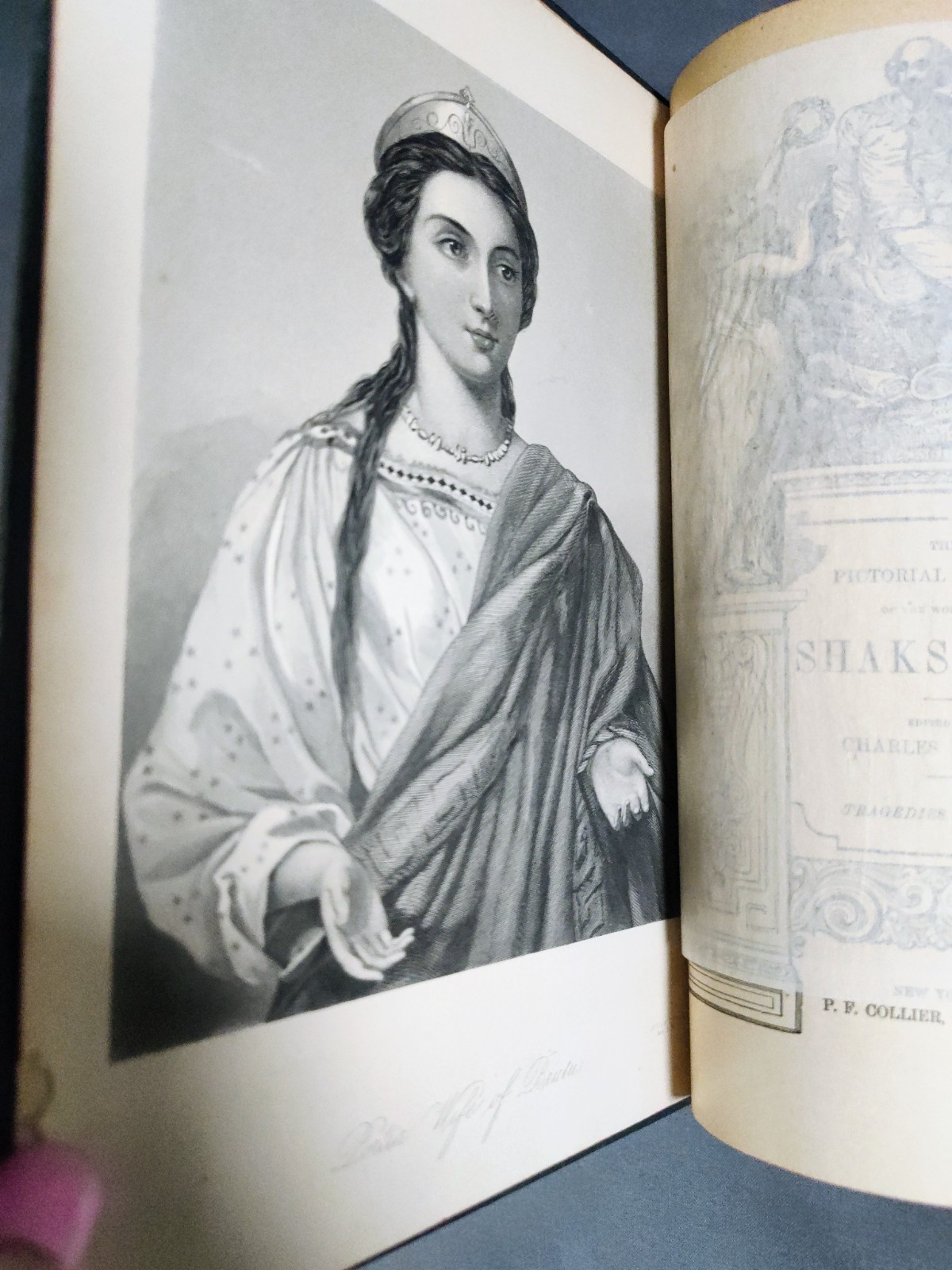 1890s Pictorial Edition Works of Shakspere Antique Shakespeare Set Complete 8