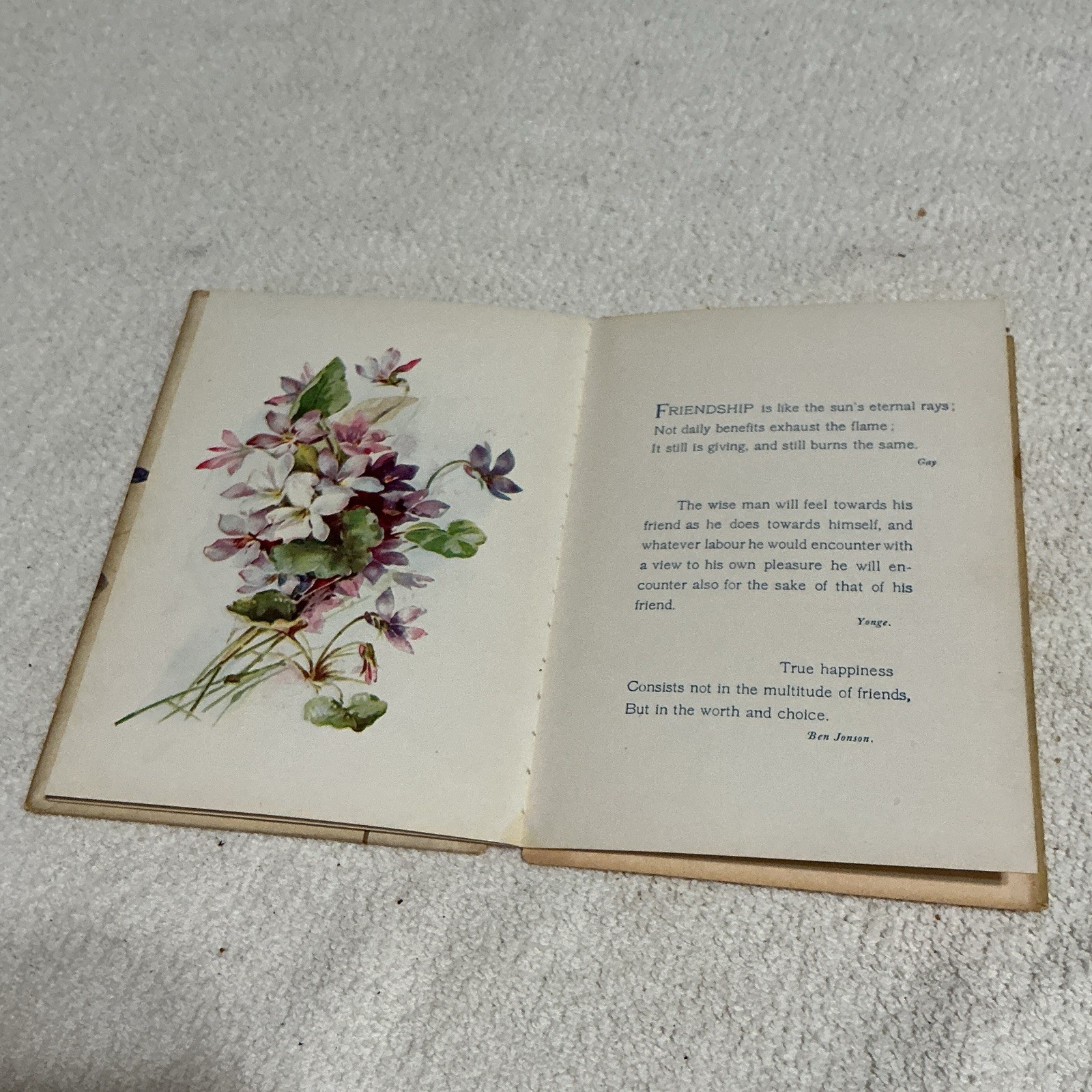 MGA 1301 Friendship’s Token Illustrated Hardcover Poetry Cupples & Leon