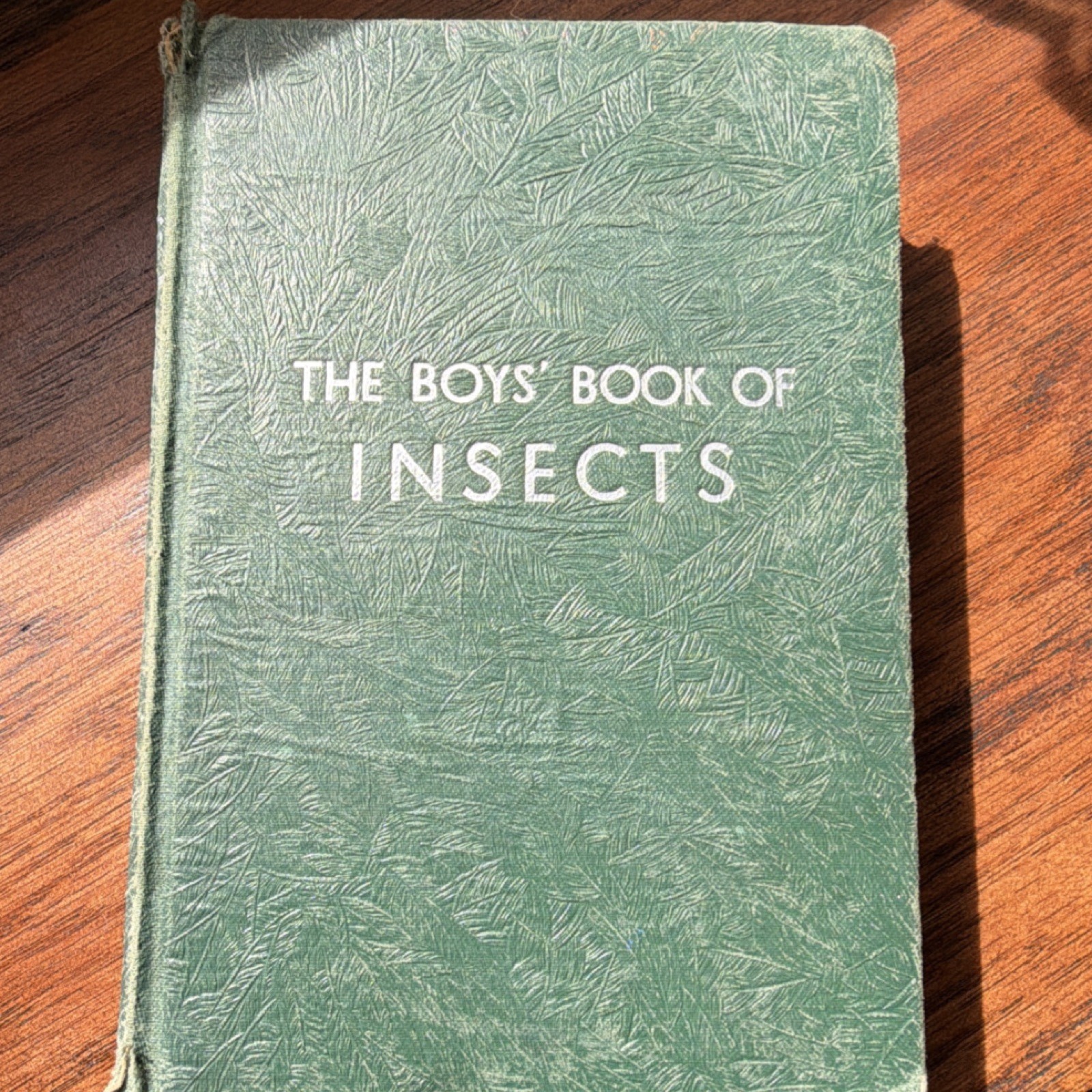 E.P. Dutton & Co. The Boys’ Book of Insects Hardcover 1940 Teale Illustrated