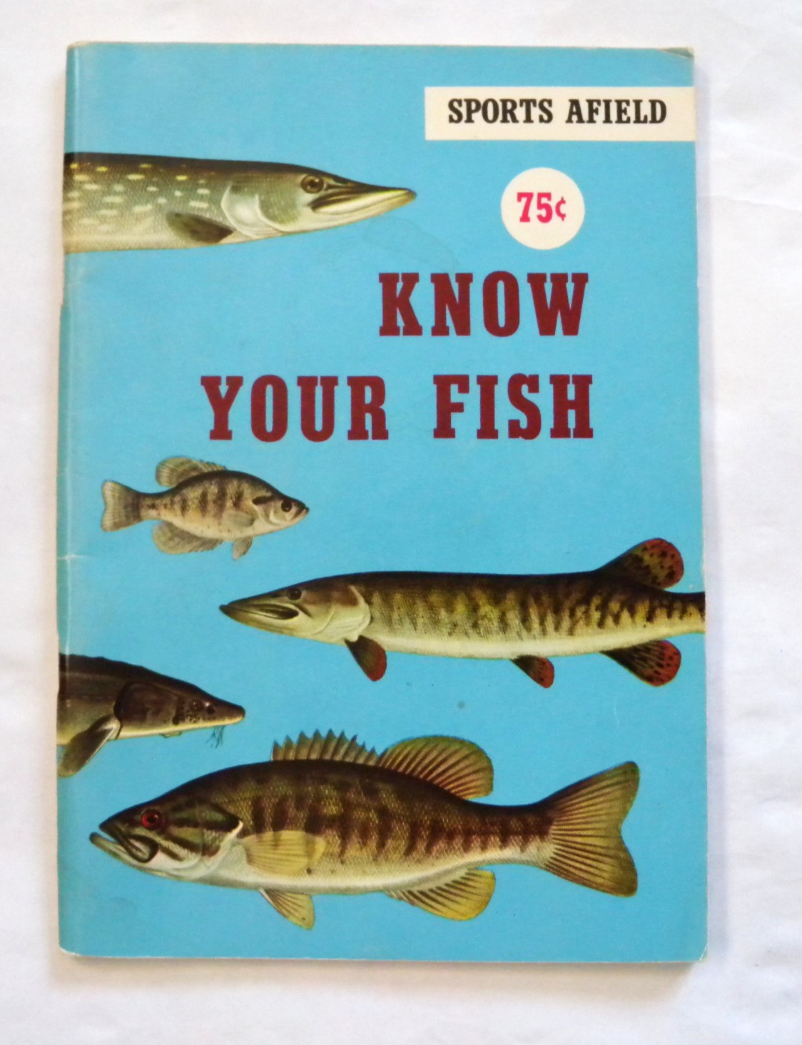 Sports Afield Know Your Fish by Tom Dolan Illustrated Fish Identification Guide
