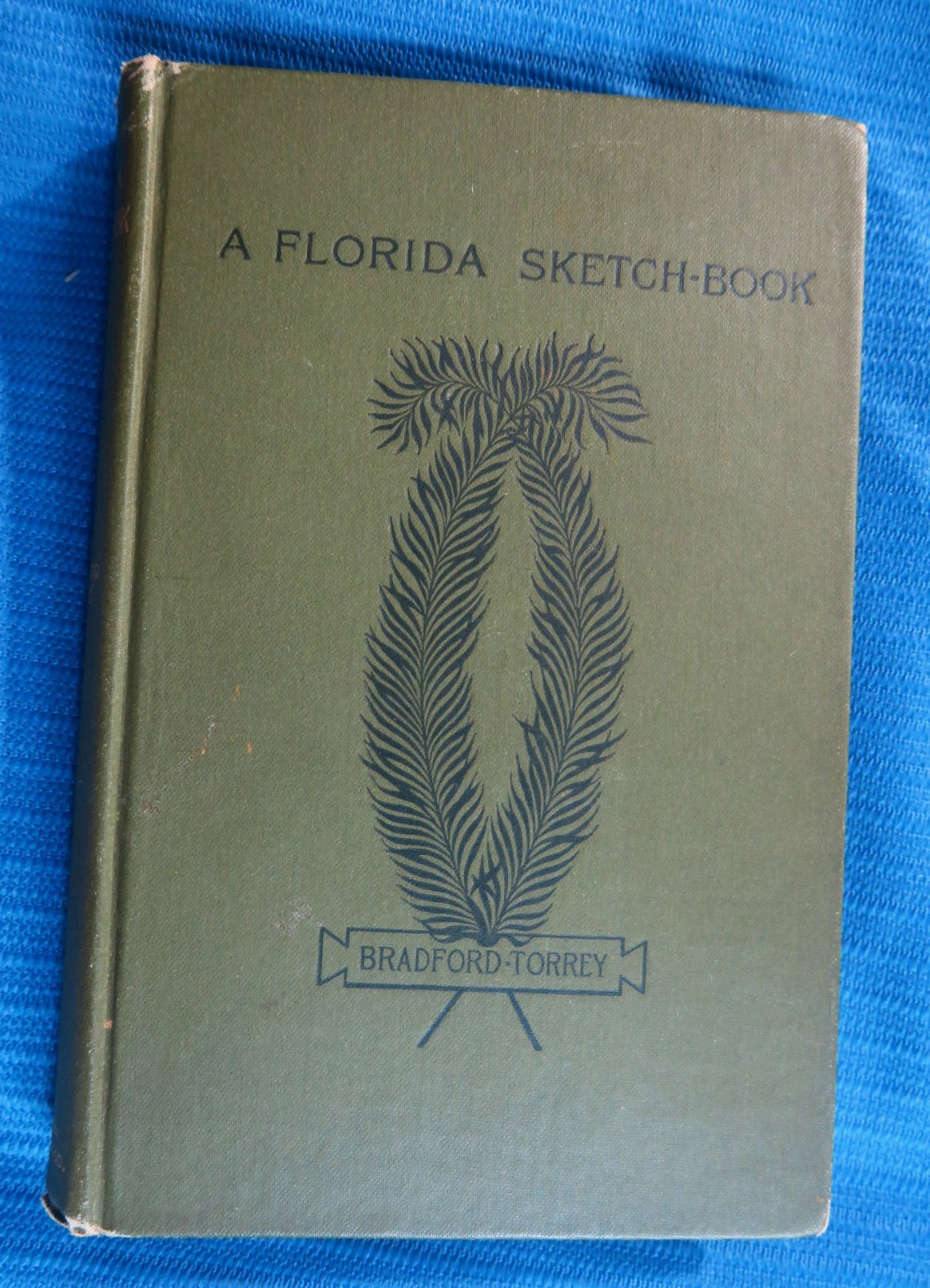 A Florida Sketch-Book By Bradford Torrey 1895 HC, Fascinating Observations