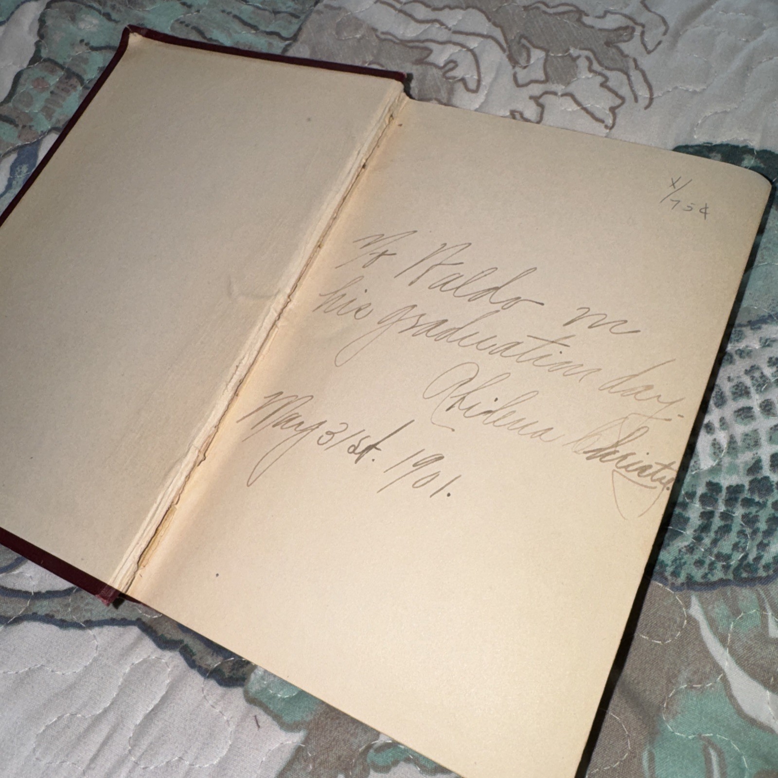 Vtg The Hunchback Of Notre Dame Victor Hugo RED Cloth A L Burt Home Library 1901