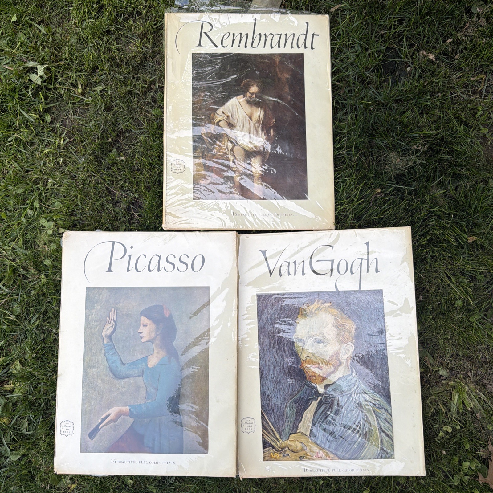 Lot Of 3 – Abrams Art Books : Rembrandt, Van Gogh, Picasso (PB,Hardcover Sleeve)