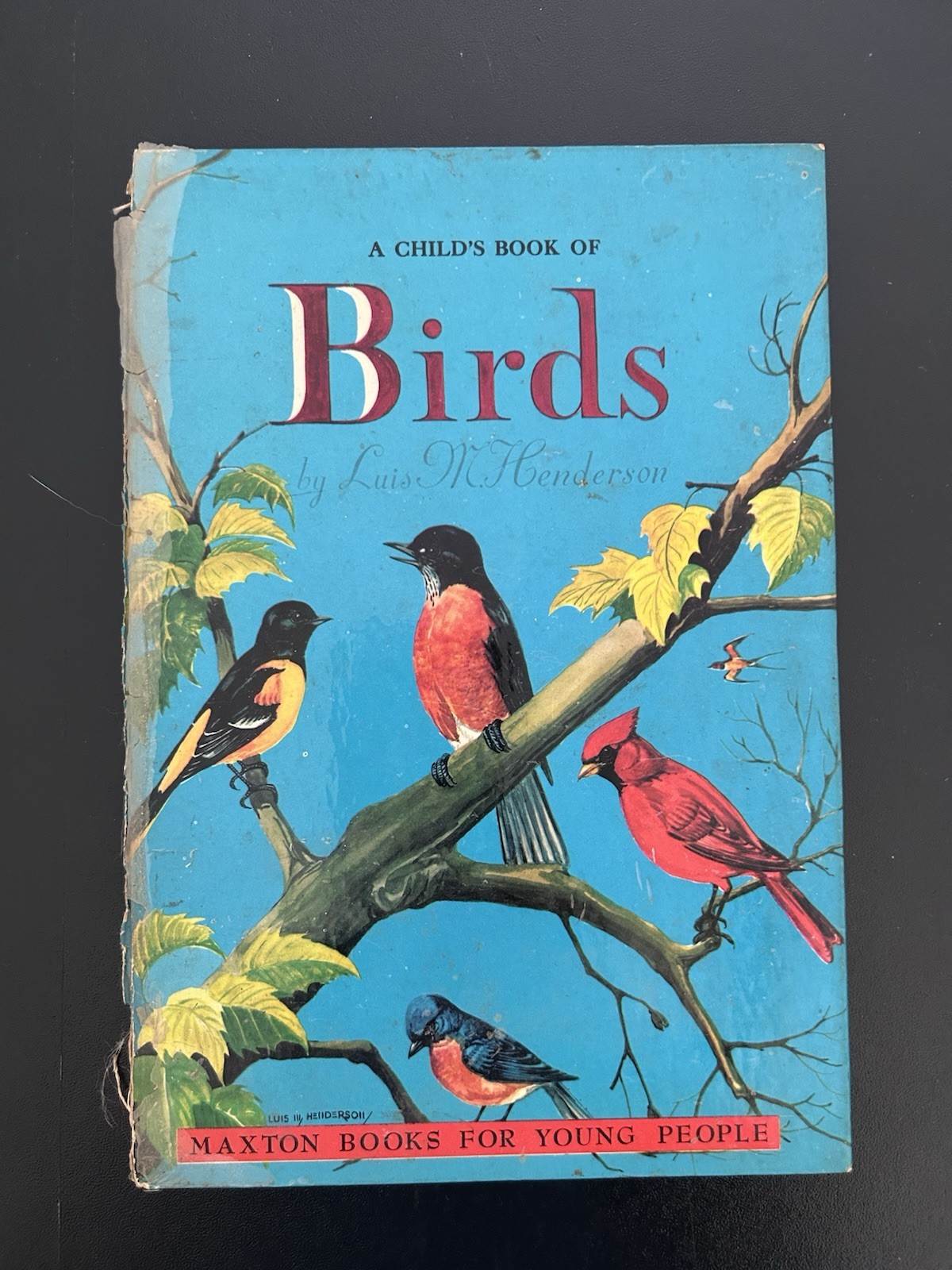 Vintage 1946 A Child’s Book of Birds Luis M Henderson HC
