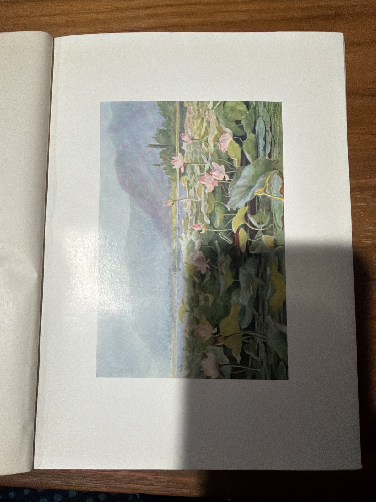 Kashmir- Described By Francis Younghusband – First Print 1909
