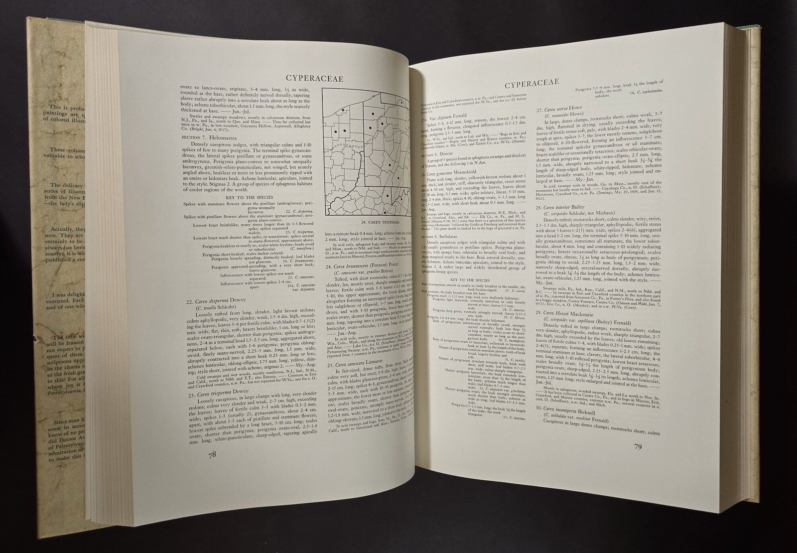 O E Jennings / Wild Flowers of Western Pennsylvania and the Upper Ohio Basin 1st