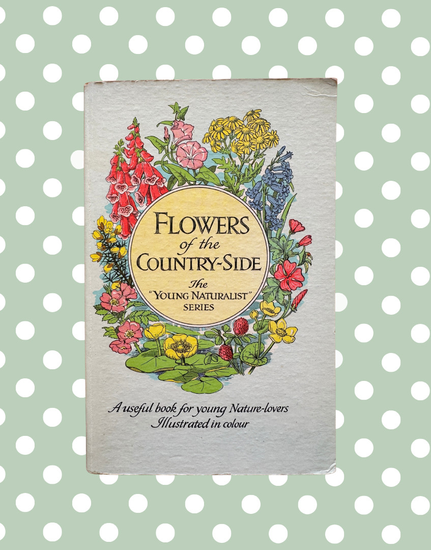 Vintage Flowers of the Country-Side Book Cyril J Lane Young Naturalist 1950s