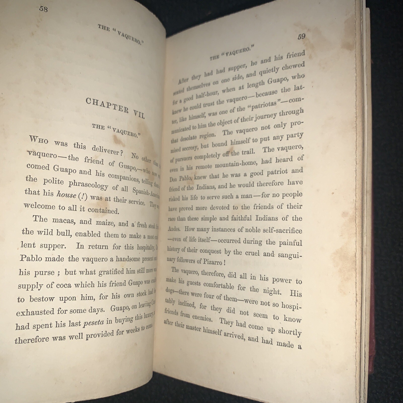 The Forest Exiles The Perils of A Peruvian Family & Wilds of The Amazon 1856