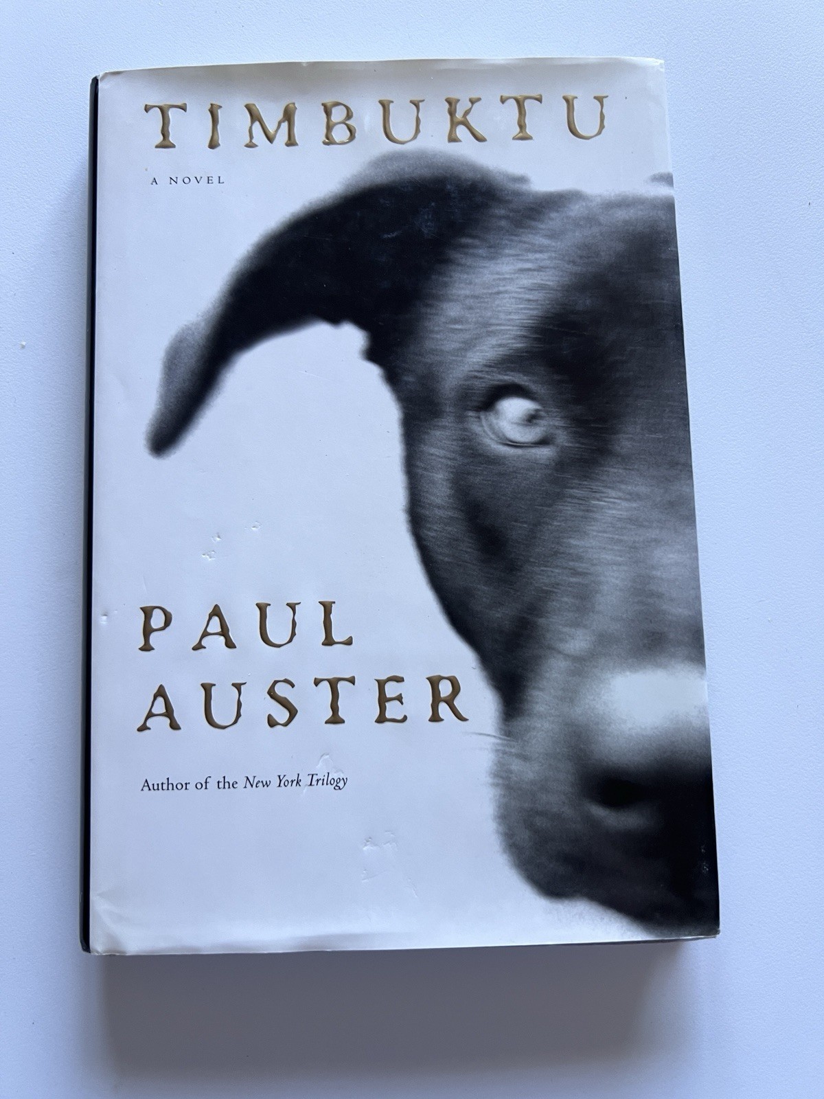 Paul Auster TIMBUKTU Signed 1st/1st 1999 Henry Holt HC DJ VG