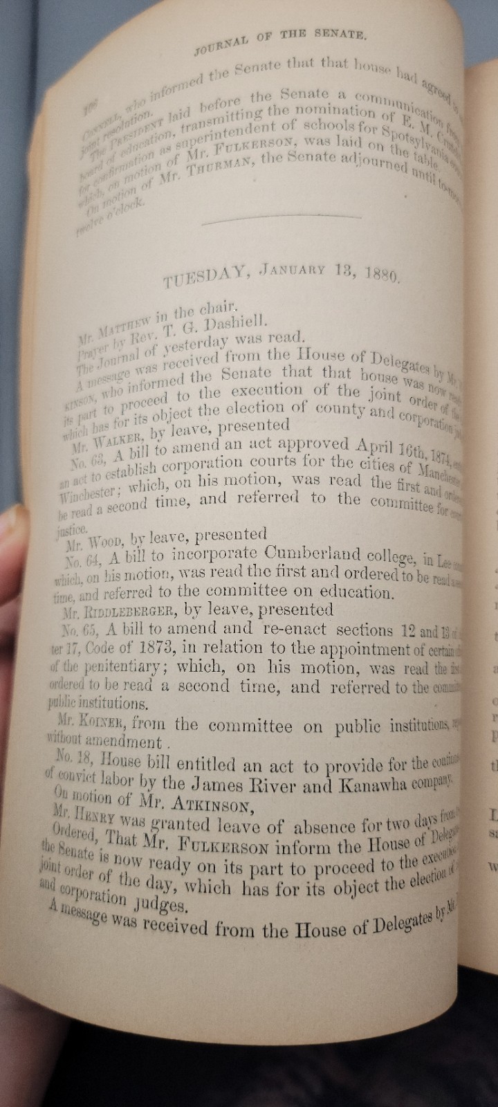 1879-1880 Journal of the Senate of Virginia Antique Law Ledger Politics American