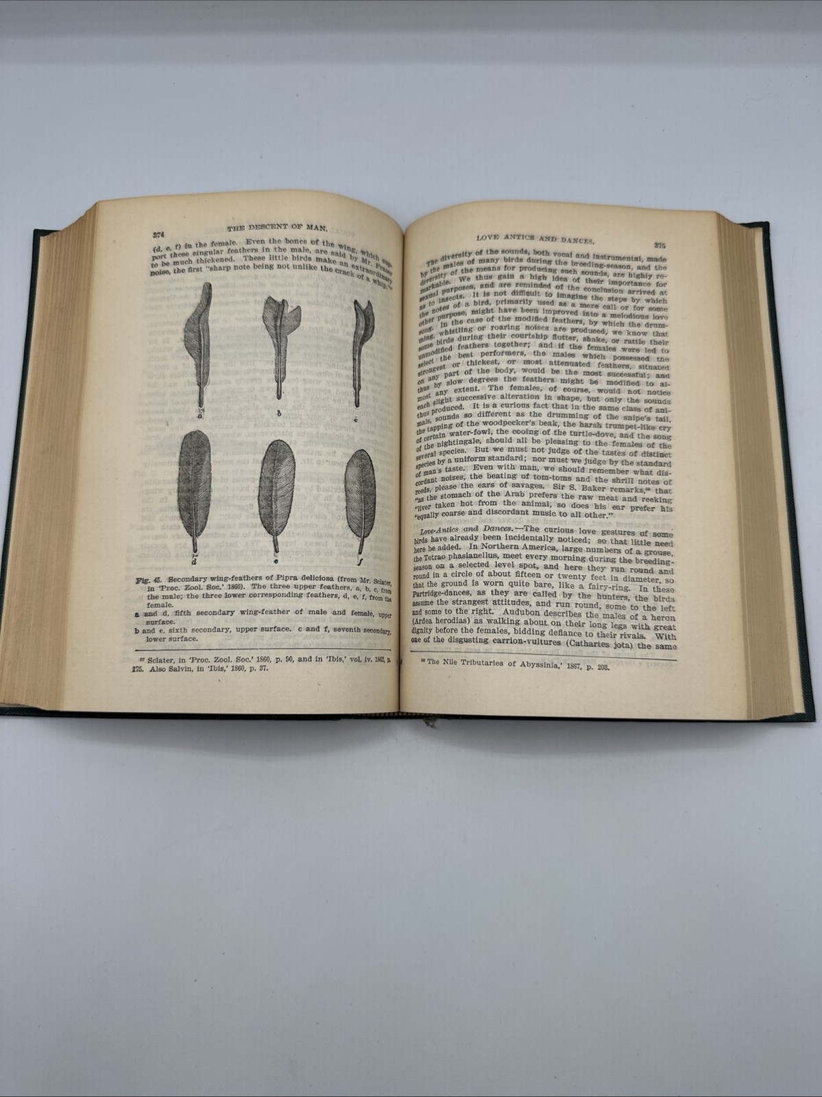 The Descent of Man by Charles Robert Darwin Illustrated Revised Ed. Rand McNally