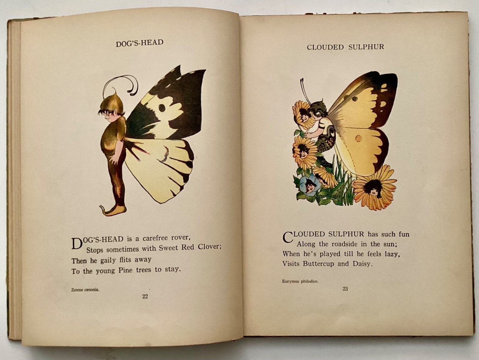 Elizabeth Gordon THE BUTTERY BABIES’ BOOK 1914