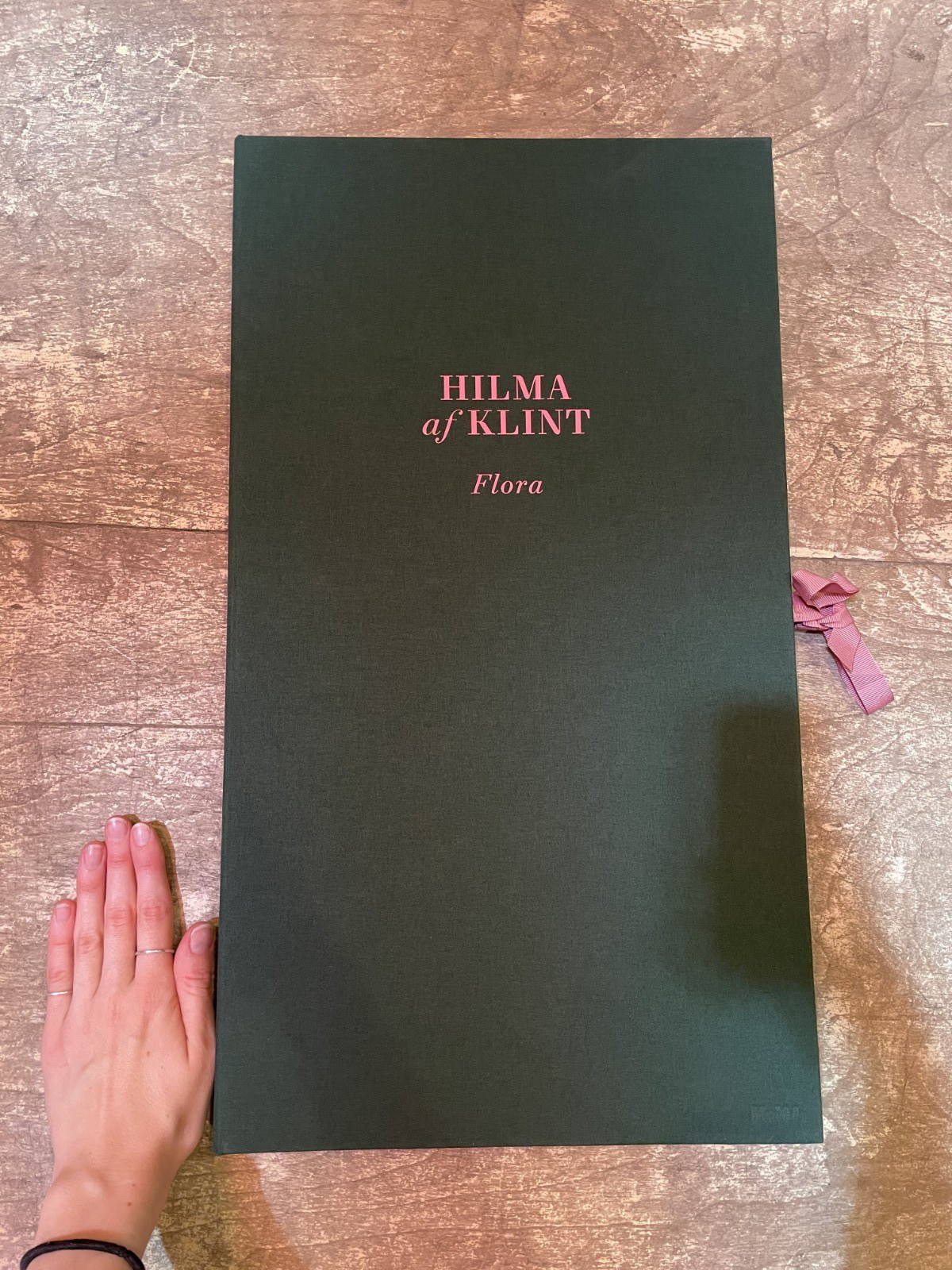 Hilma af Klint Flora MOMA art portfolio