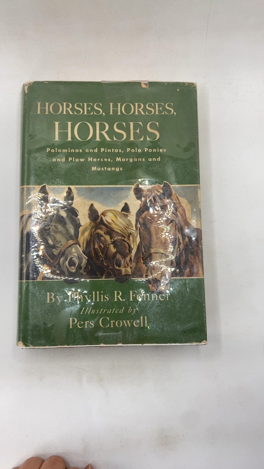 Horses, Horses, Horses