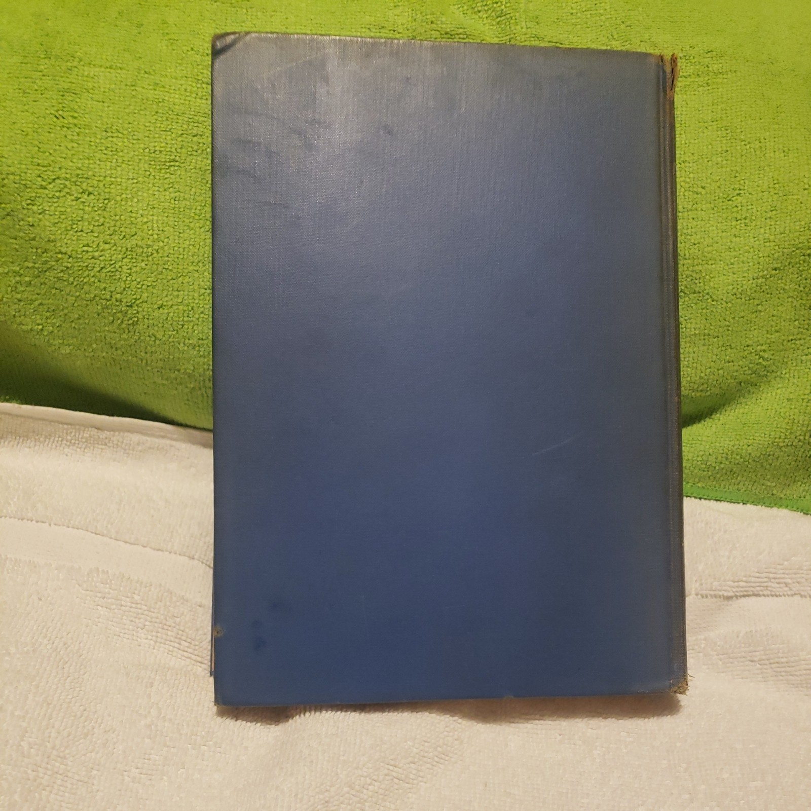Audubon by Constance Rourke HC Illus. James MacDonald 1936 Vintage