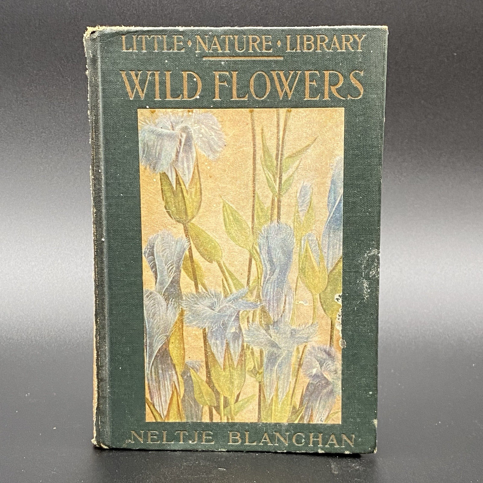 Little Nature Library Wild Flowers Worth Knowing 1ST Edition Neltje Blanchan