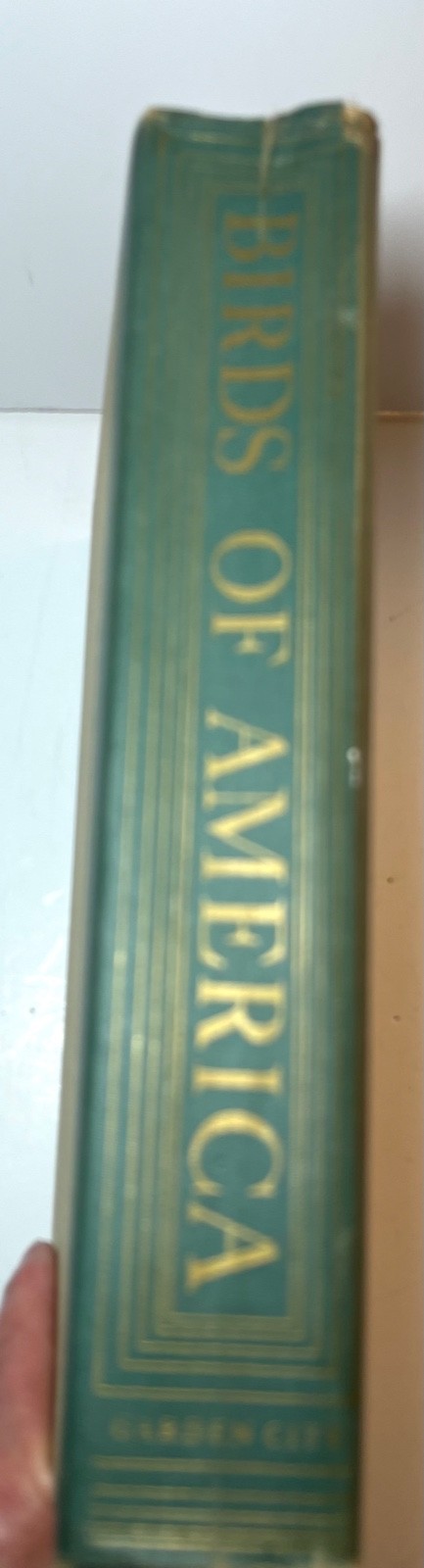Birds of America 1917, 1936 Antique with Full Color Illustrations Hardcover