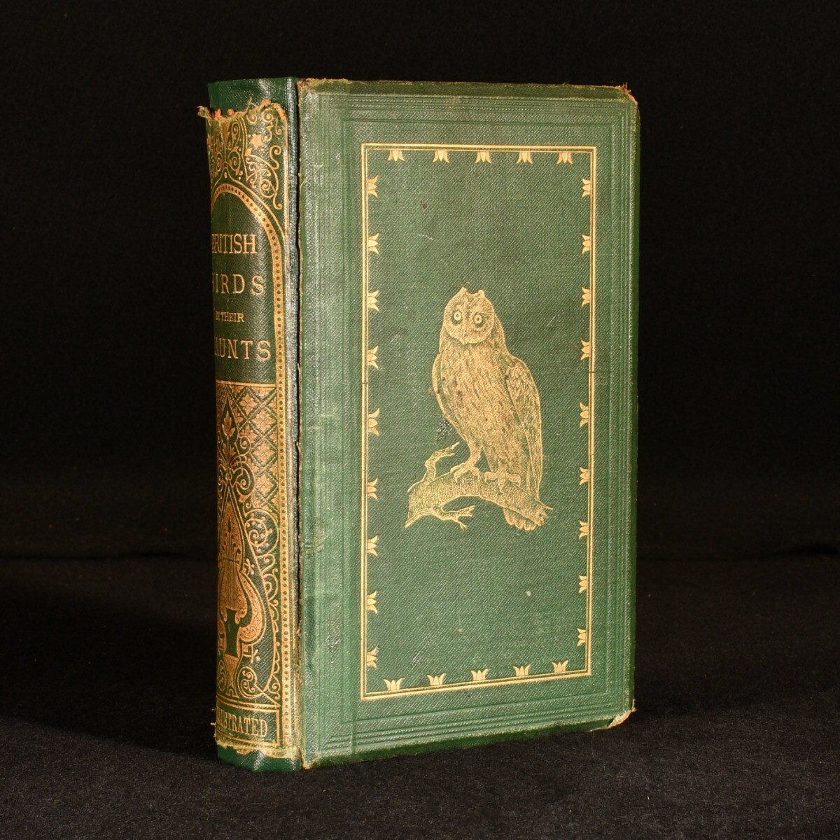 1867 British Birds in Their Haunts Illustrated