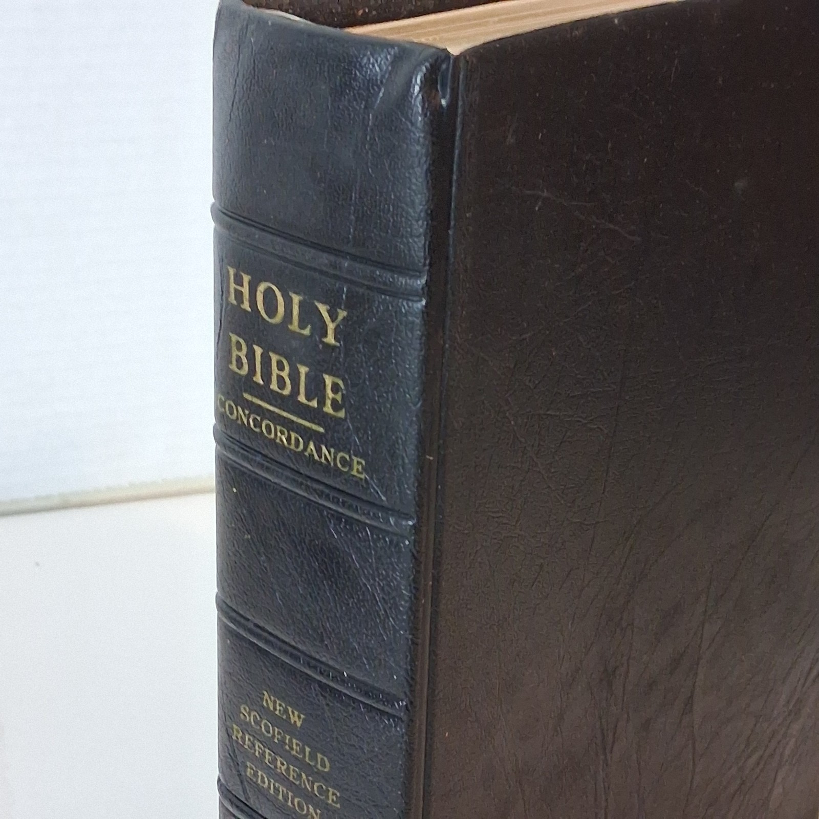 1967 New Scofield Reference Bible Blue 09381x Box Leather Gold Edge Loose Leaf