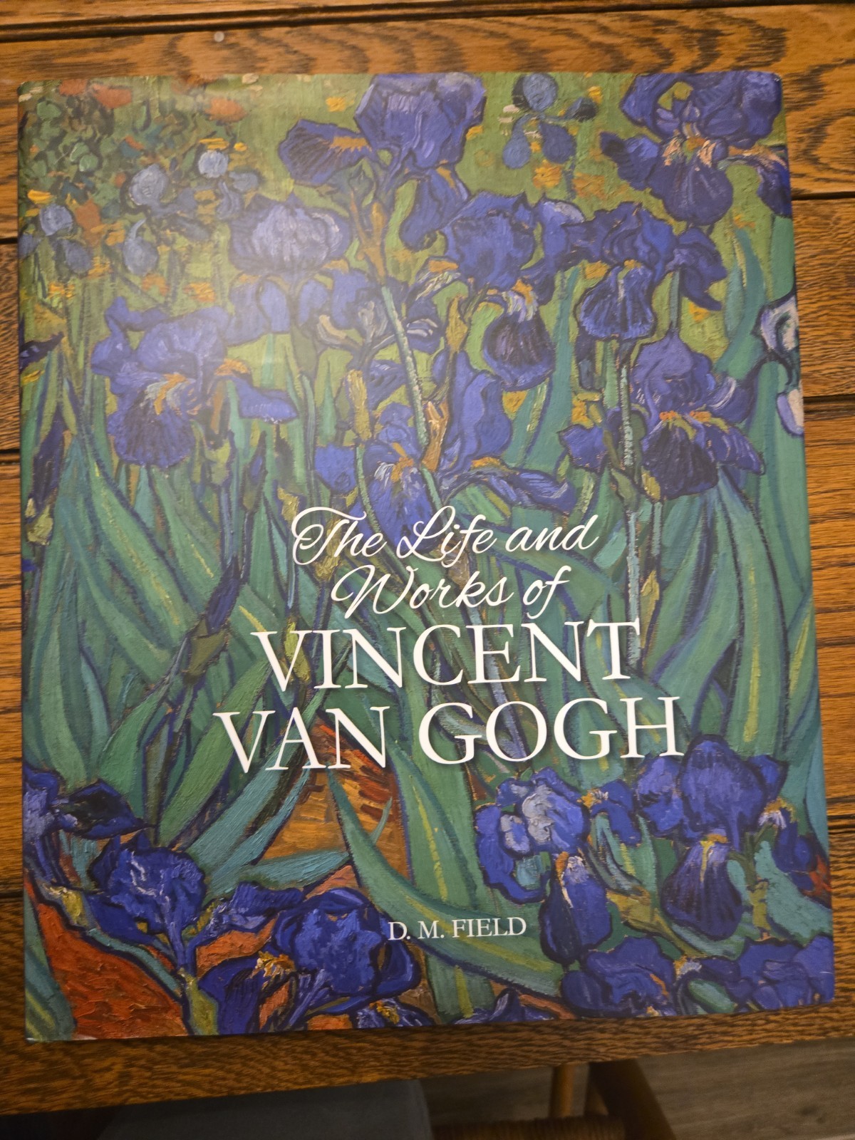 New Life Works Vincent Van Gogh Paintings New Large Hardcover Collectible