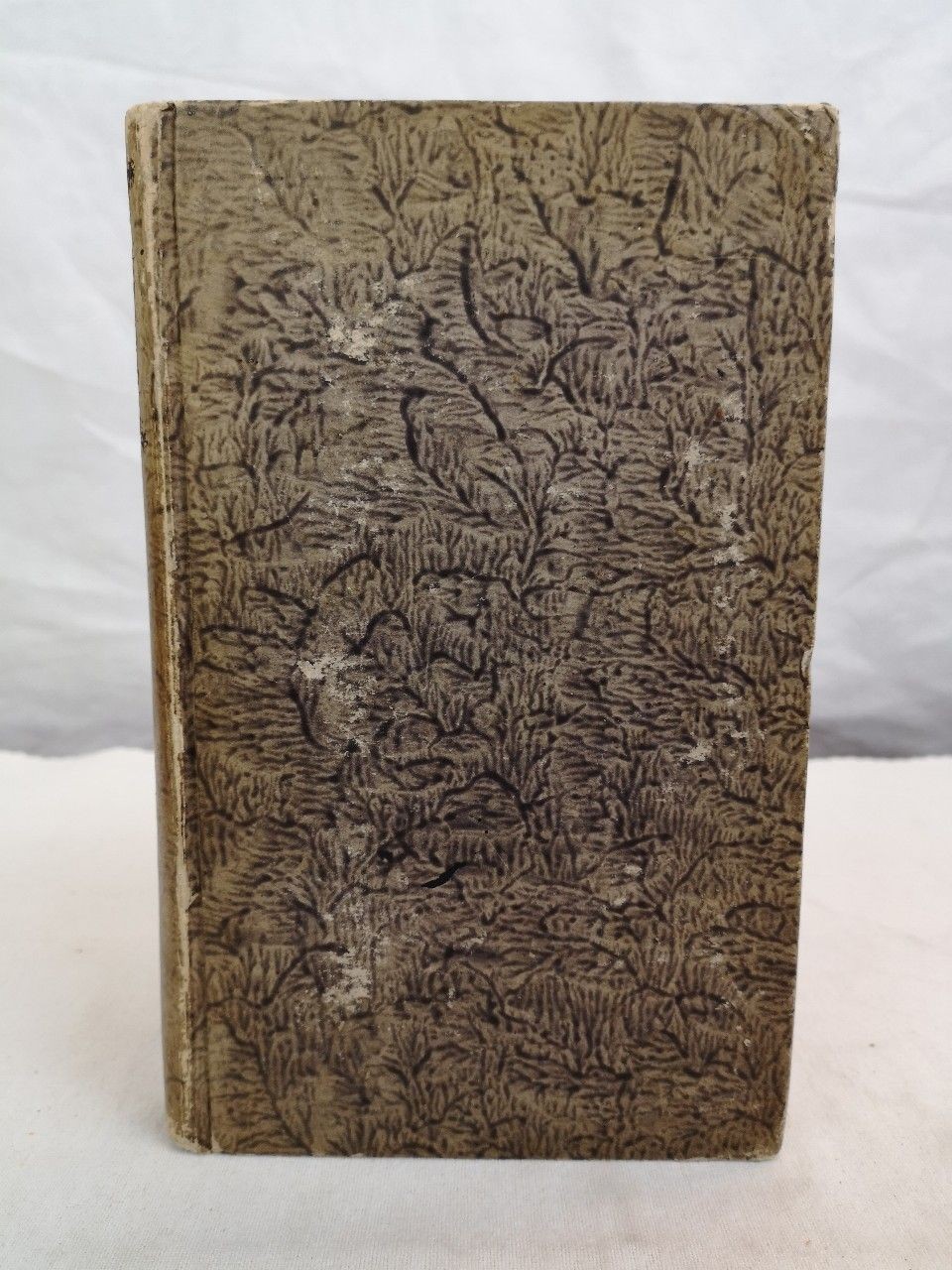 Panegyricus Traiano dictus. Recensuit notisque illustravit Gottlieb Erdmann Gier