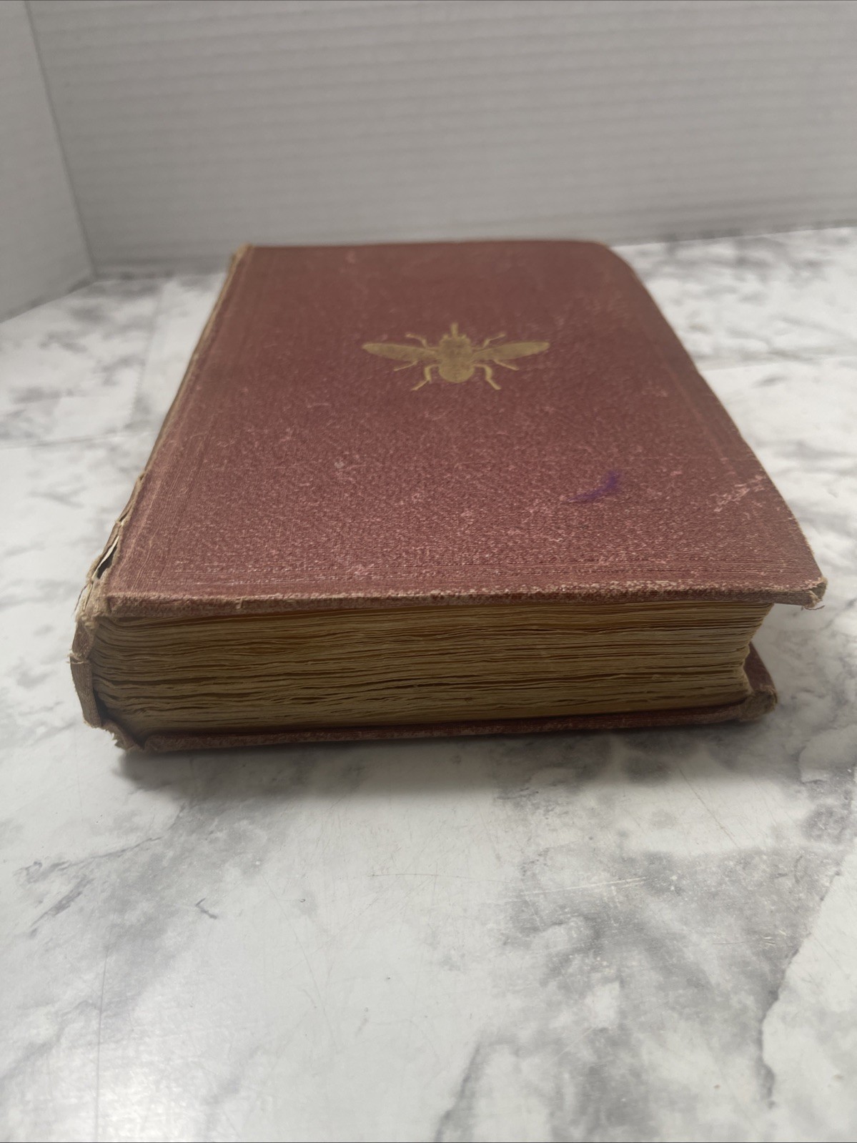 A Popular Account of Missionary Travels Researches in S. Africa Livingstone 1861