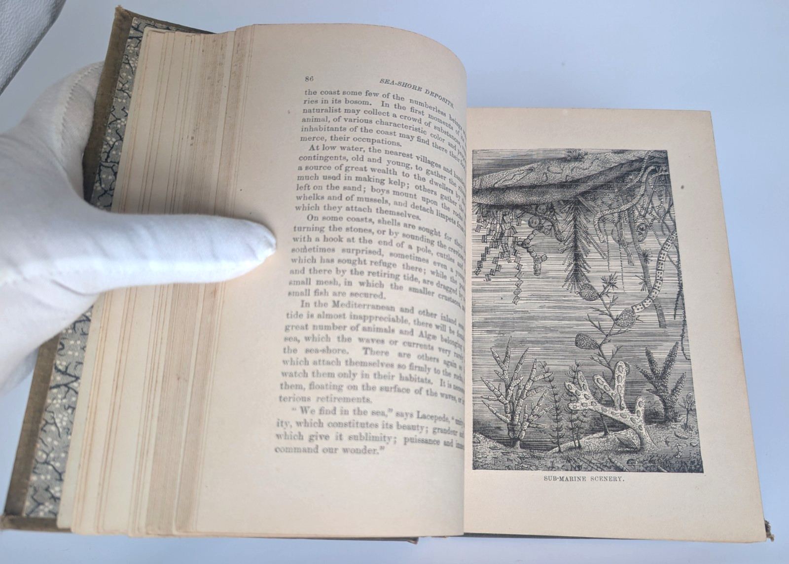 1886 The Water World J.W. Van Dervoort Illustrated Victorian Ocean Exploration