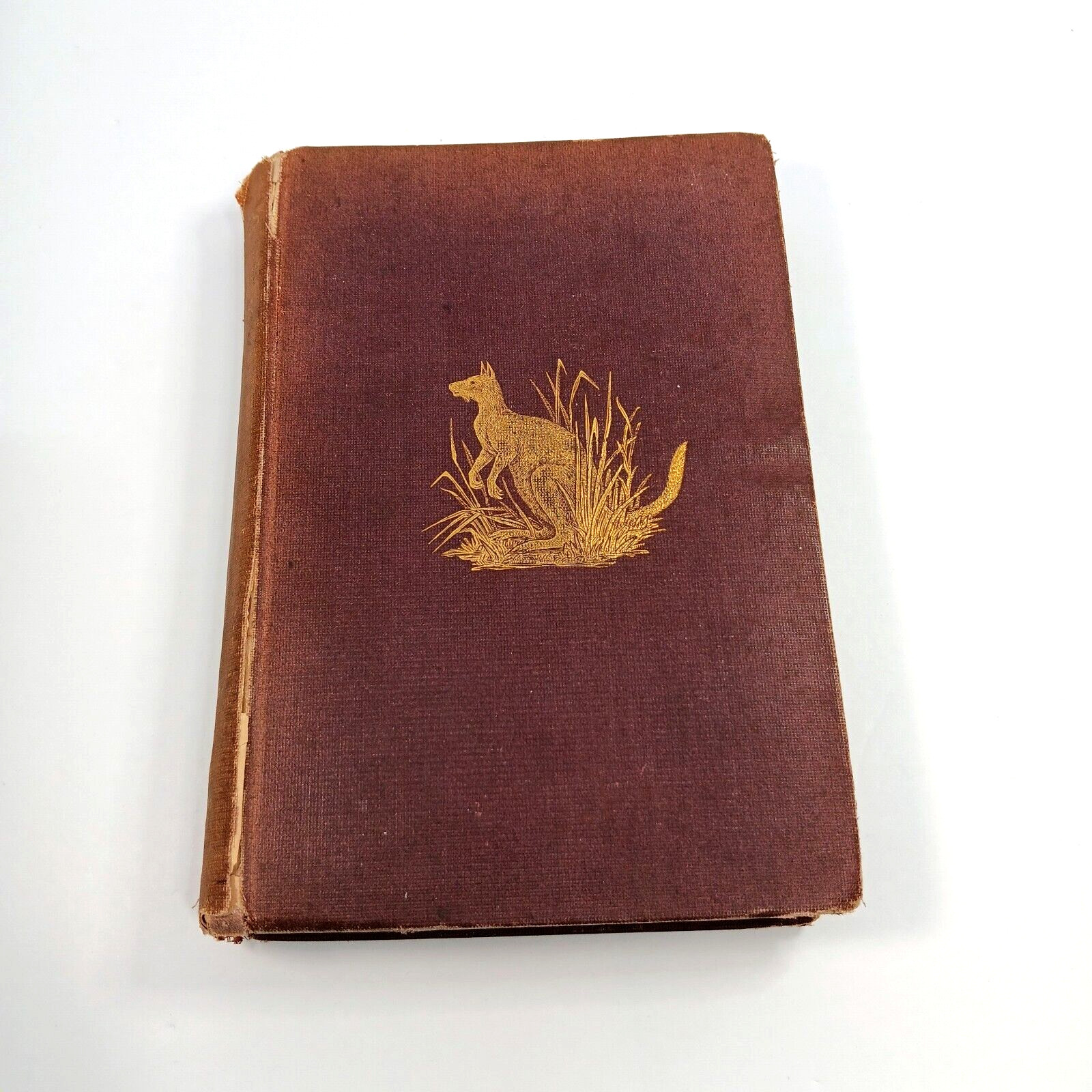 SONGS FROM THE SOUTHERN SEAS by John Boyle O’Reilly – 1874 – RARE, GOOD POEMS