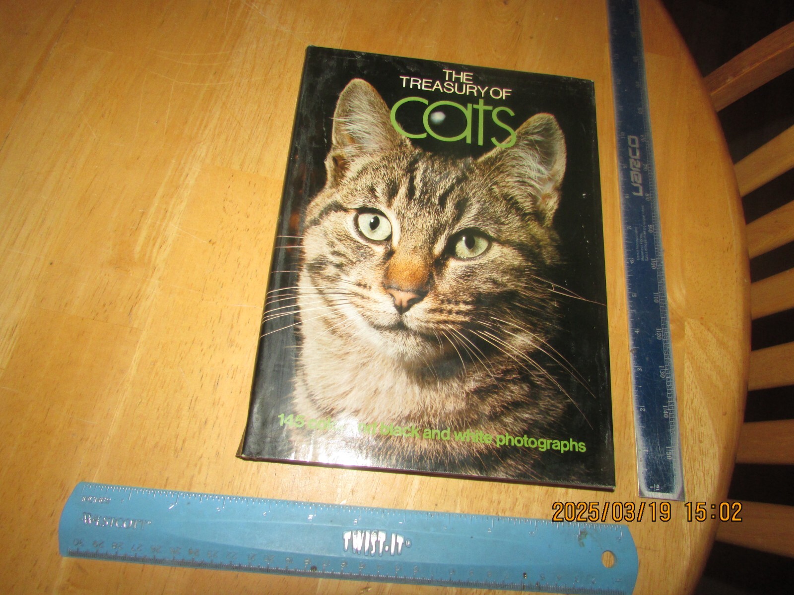 The Treasury of Cats – 1975 Octopus Books Hardcover