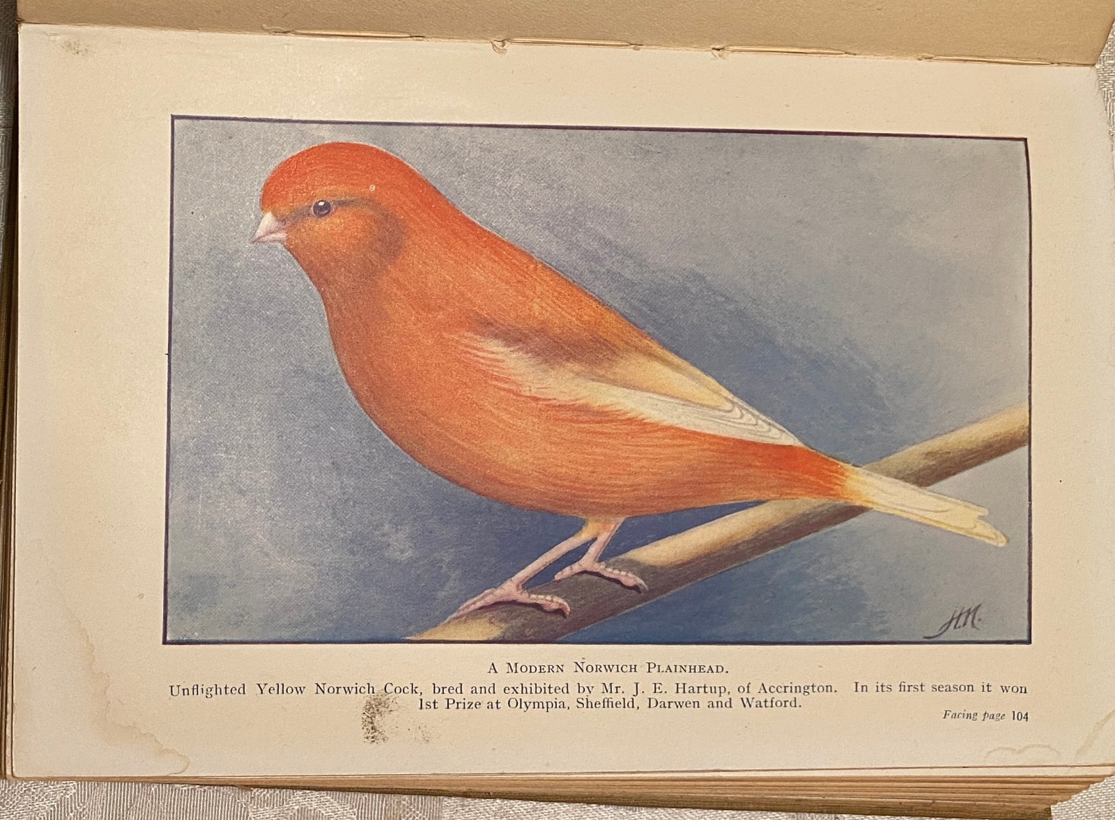 1923 Canaries Vintage Book C. A. House Lots of Illustrations Breeding Exhibiting