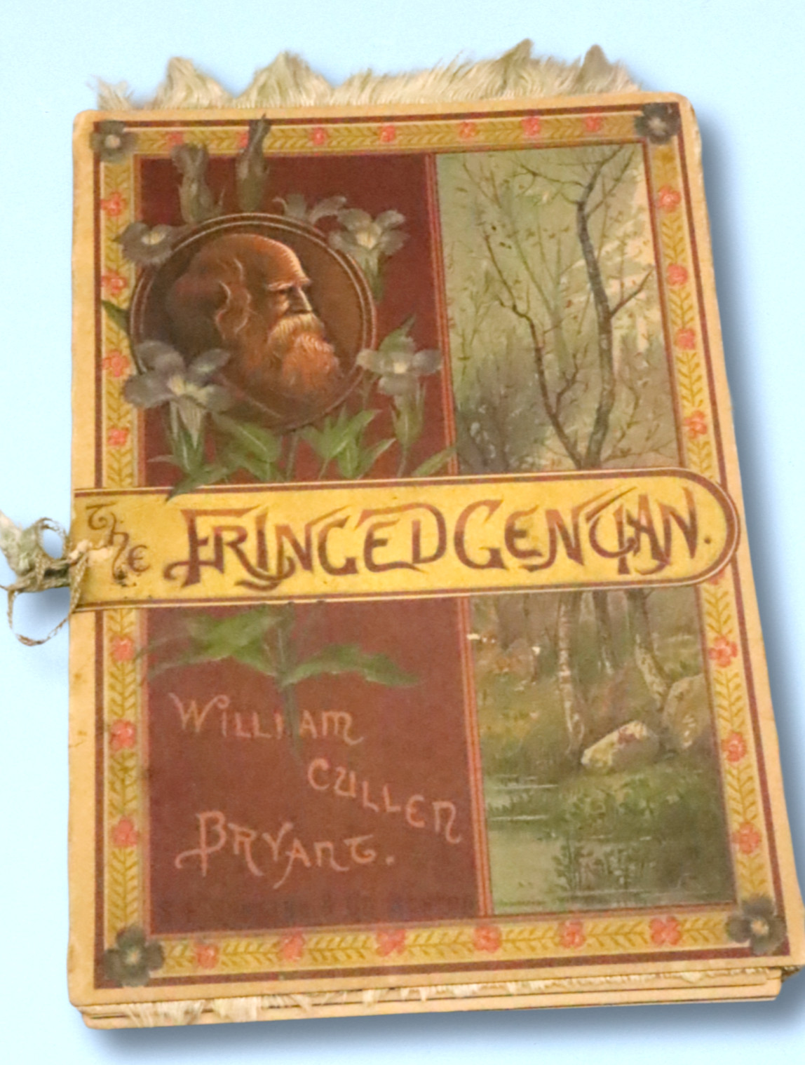 Rare 1893 Fringed Gentian William Cullen Bryant Illus Hollis Antique Poem Book