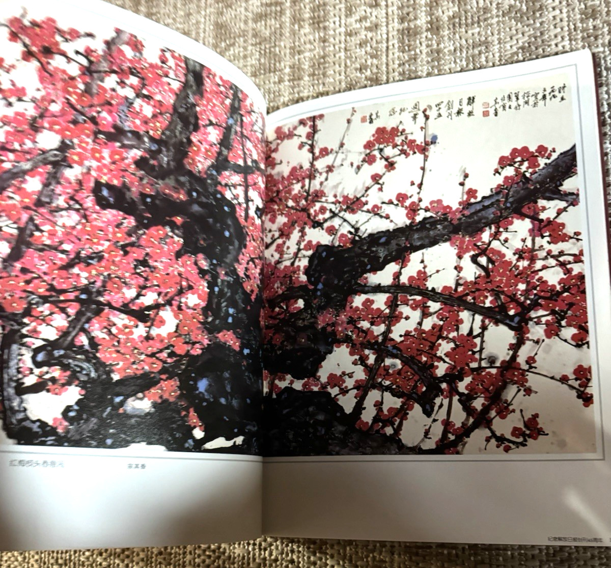 Vintage 1994 Chinese Art Book Master Paintings Calligraphy Book 1949-1994