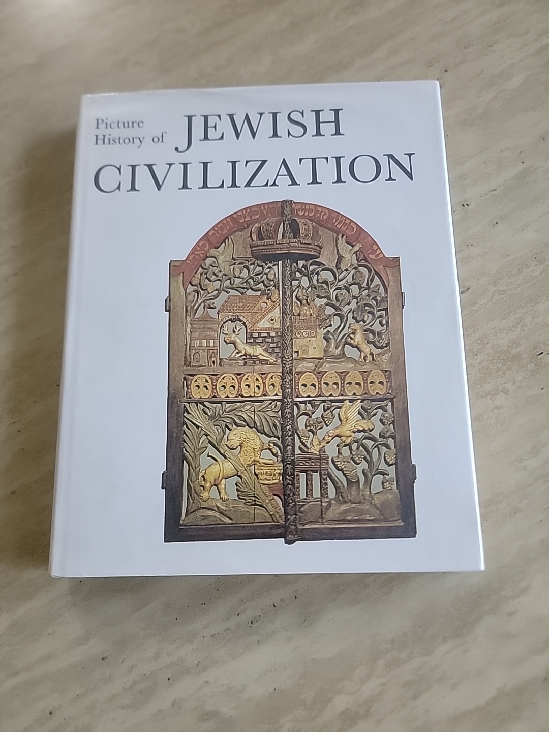 Picture History of Jewish Civilization Book Hardcover Tudor Bezalel Narkiss