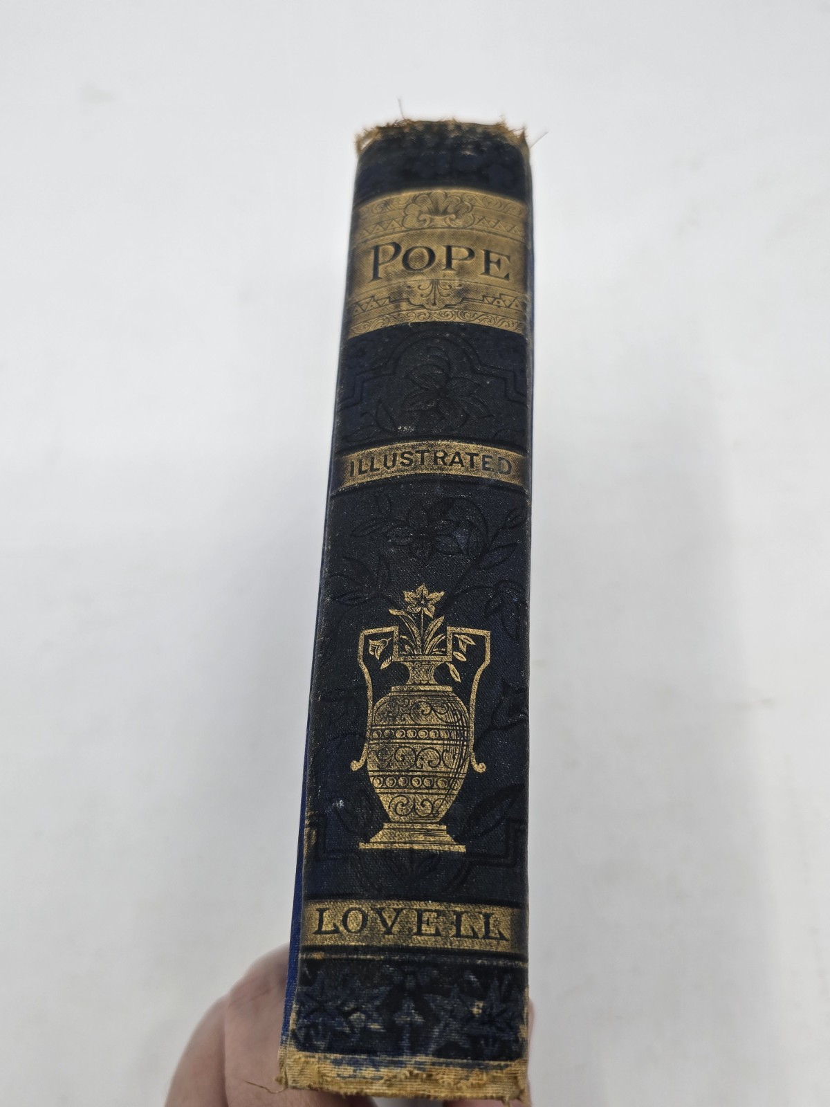 THE COMPLETE POETICAL WORKS OF ALEXANDER POPE by Alexander Pope c. 1890