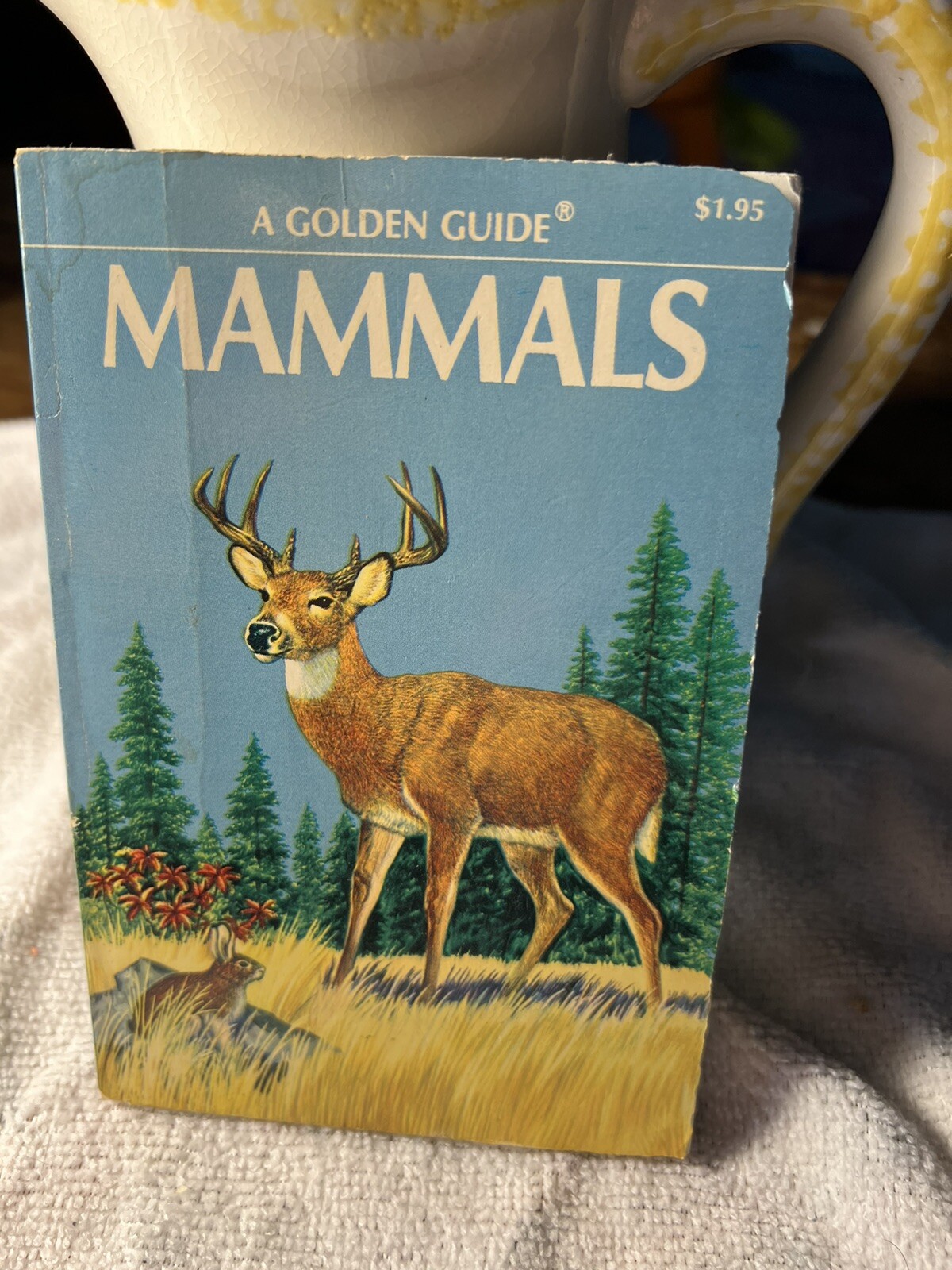 A GOLDEN GUIDE TO MAMMALS-VINTAGE 1955