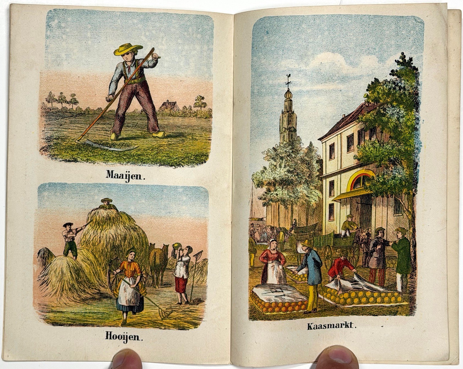 1880 HET BOERENLEVEN DUTCH CHILDRENS BOOK DE HAAN EMRIK BINGER COLOR LITHO