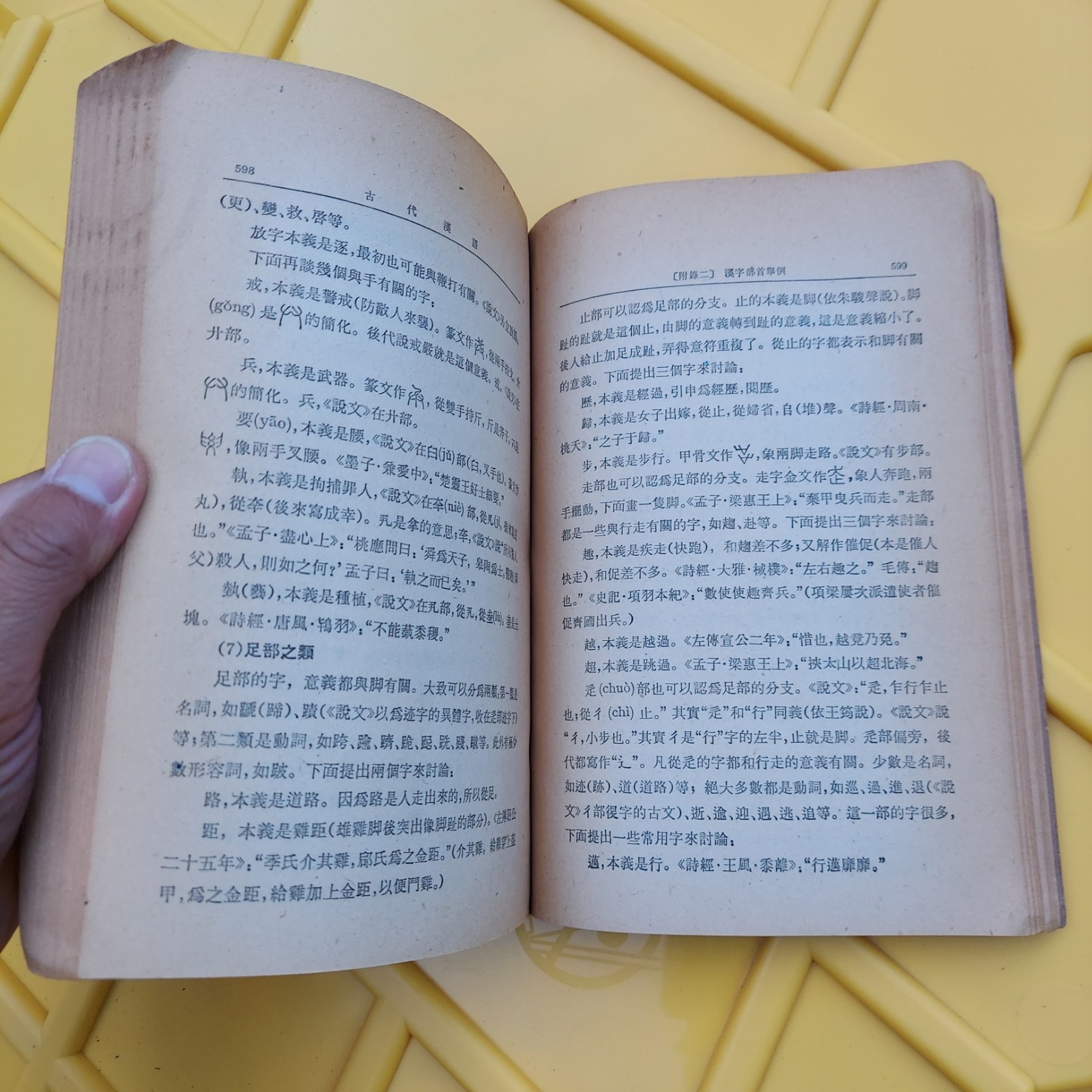 古代漢語 (第二分册) 主編 Chinese Book 中文書籍 Ancient China